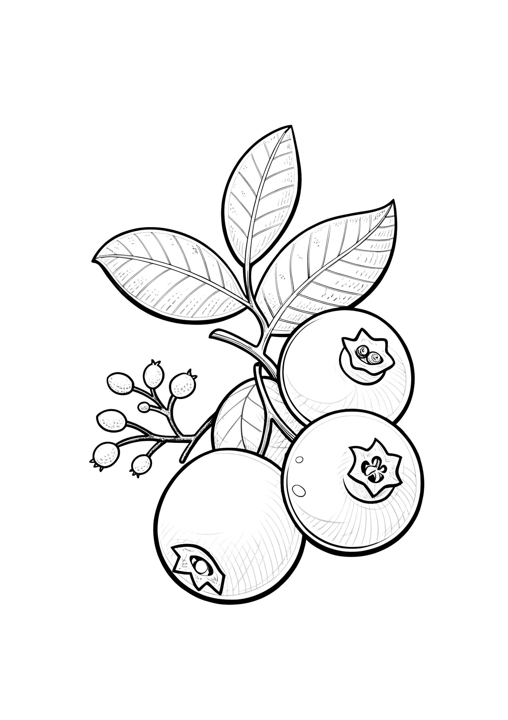 Fruits Coloring Book for Kids | Printable Fruit & Healthy Eating Activity Sheets | Digital Download for Toddlers  Preschoolers